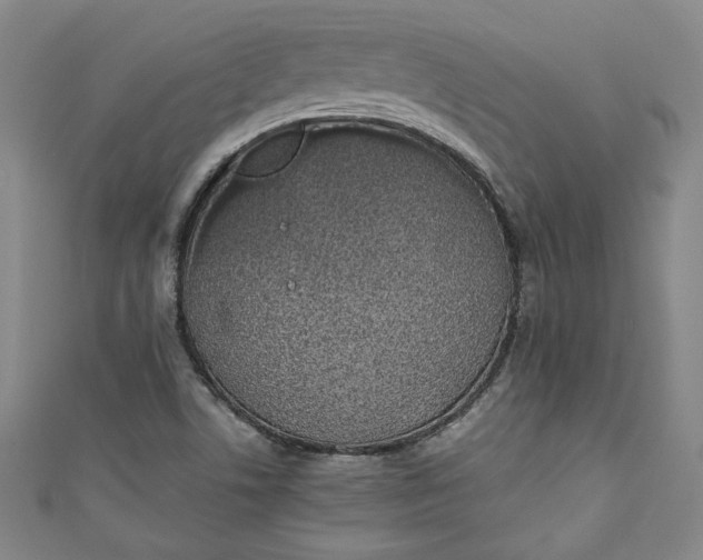 X0000111451506200907271220