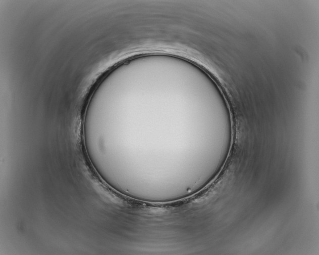 X0000111451507200907271220