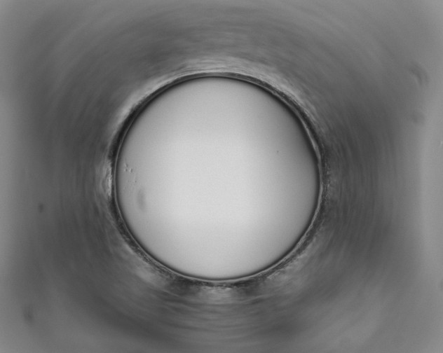 X0000111451509200907271220