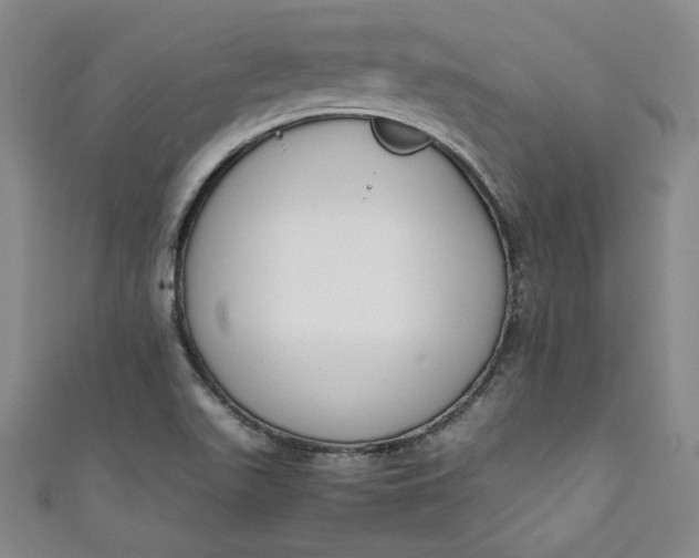 X0000111451511200907271220