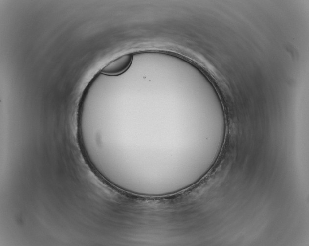 X0000111451512200907271220