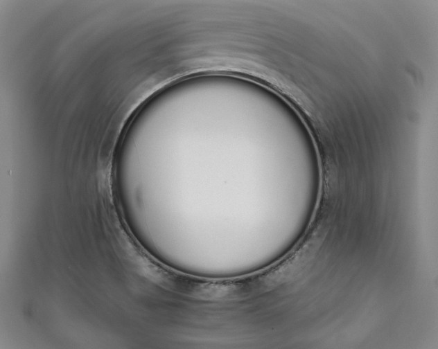 X0000111451513200907271220