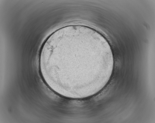 X0000111451514200907271220