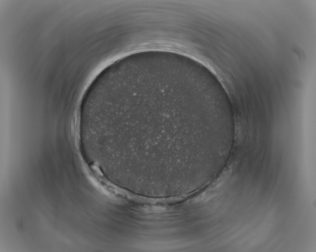 X0000111451515200907271220