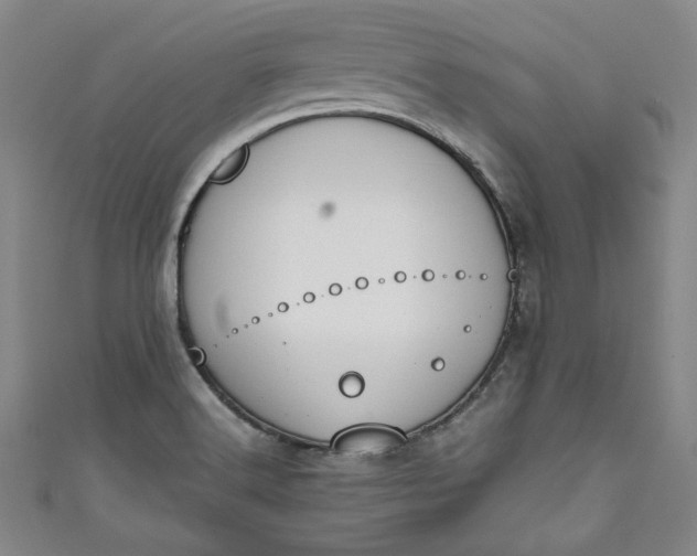 X0000111451516200907271220