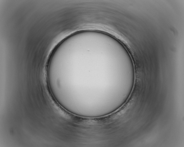 X0000111451517200907271220
