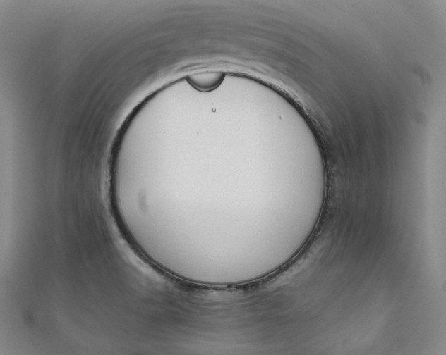 X0000111451518200907271220