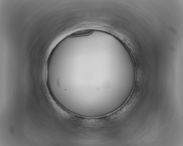 X0000111451520200907271220