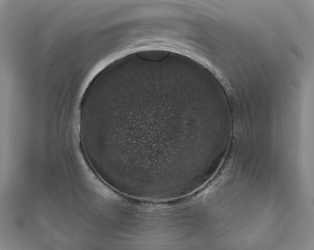 X0000111451522200907271220