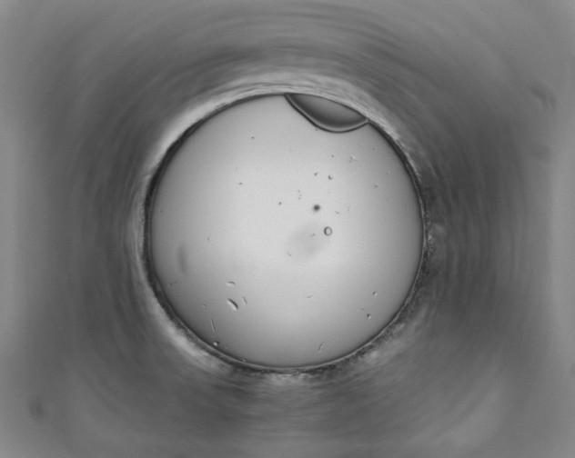 X0000111451523200907271220
