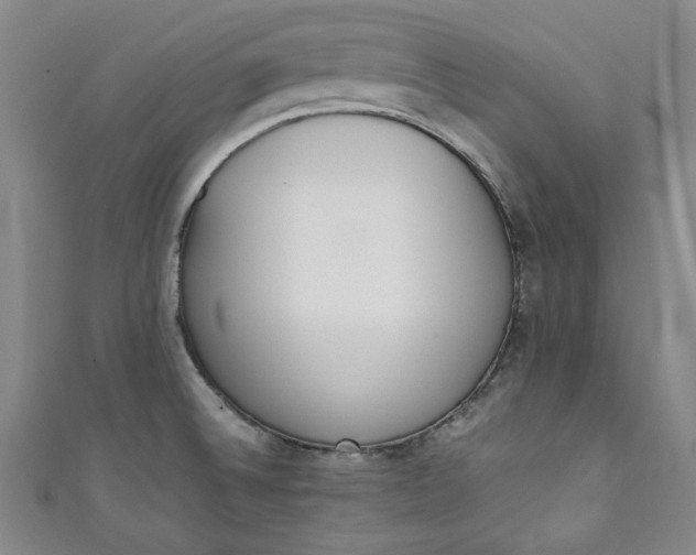 X0000111451524200907271220
