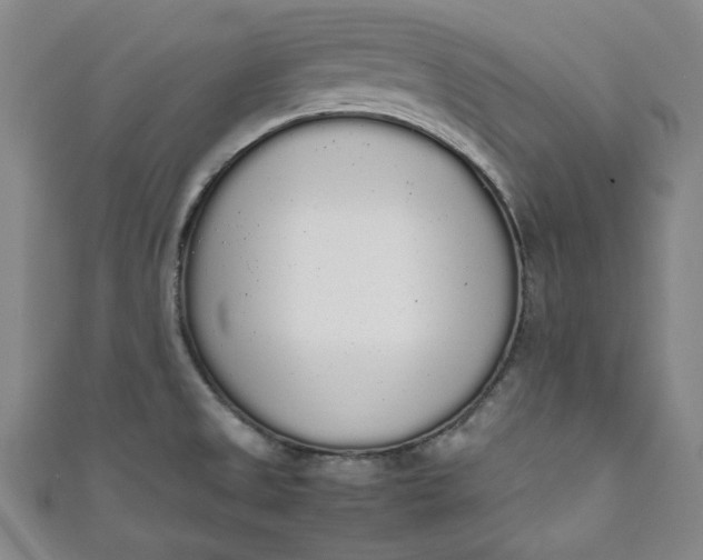 X0000111451525200907271220