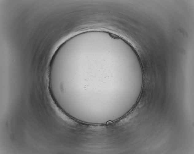 X0000111451526200907271220