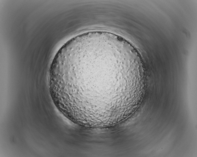 X0000111451527200907271220