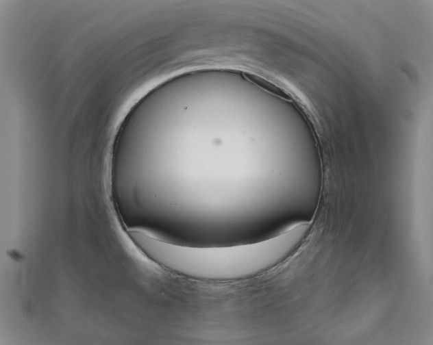 X0000111451528200907271220