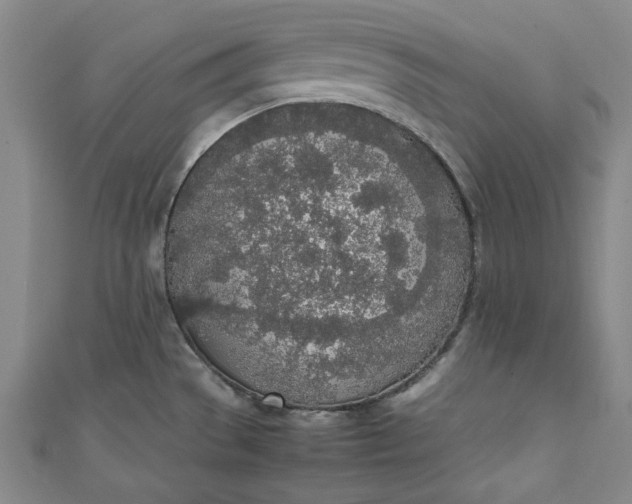 X0000111451529200907271220