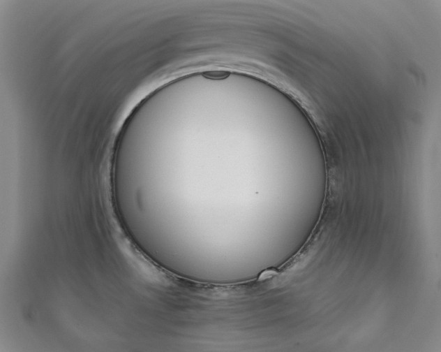 X0000111451530200907271220