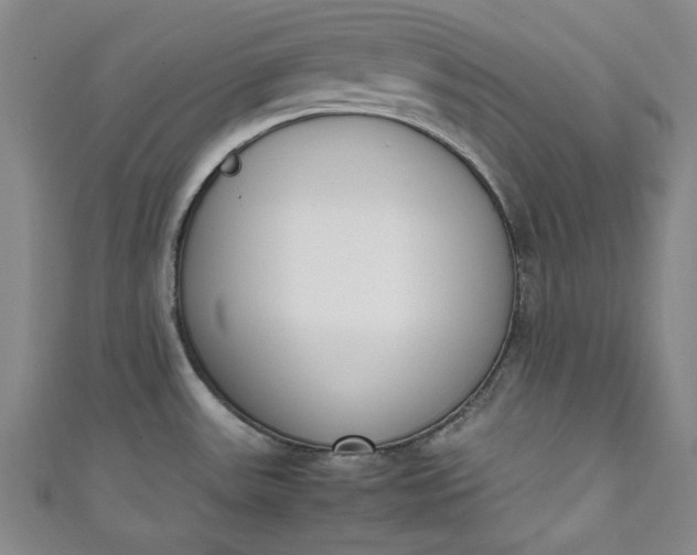 X0000111451531200907271220