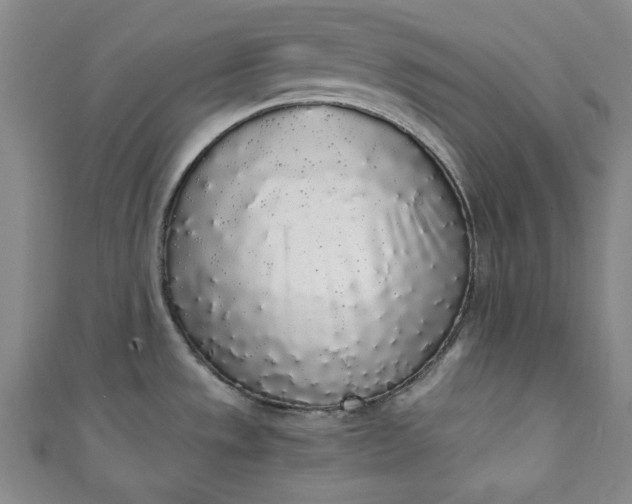 X0000111451533200907271220