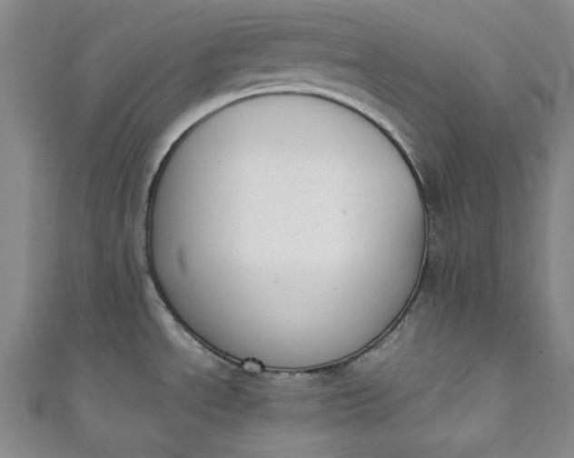 X0000111451534200907271220
