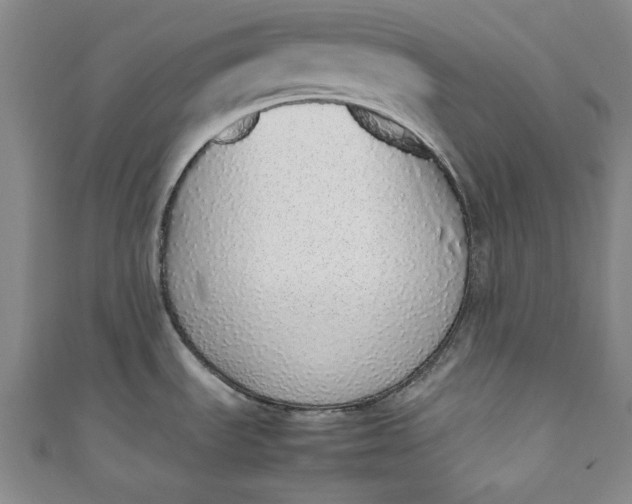 X0000111451535200907271220