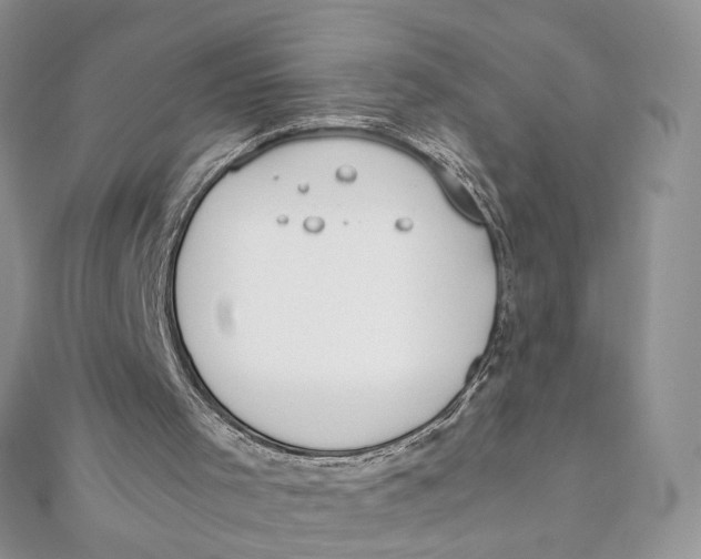 X0000111450001200908031423