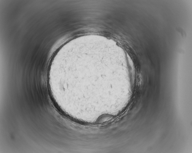 X0000111450004200908031423