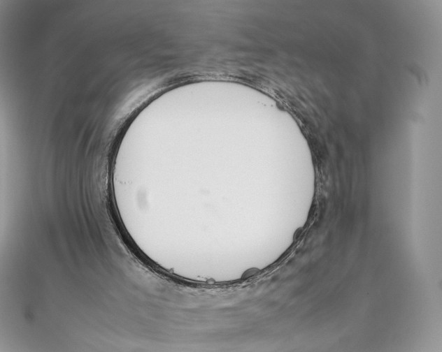 X0000111450005200908031423