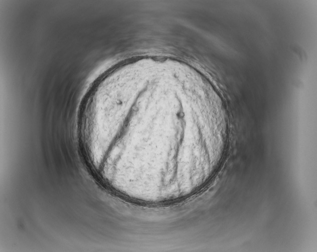 X0000111450008200908031423