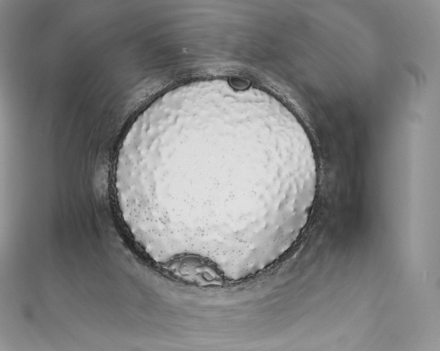 X0000111450010200908031423