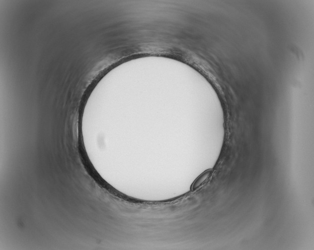 X0000111450011200908031423