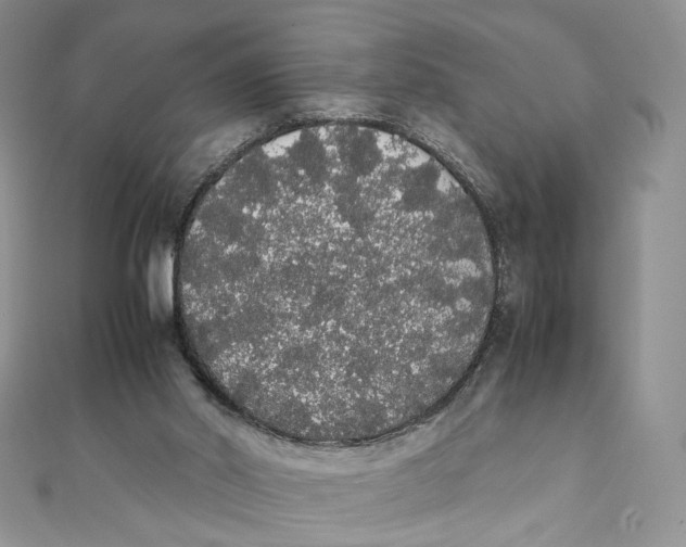 X0000111450014200908031423