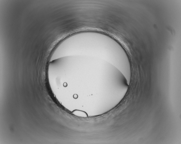 X0000111450015200908031423