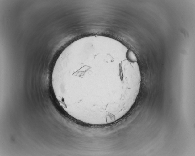 X0000111450016200908031423