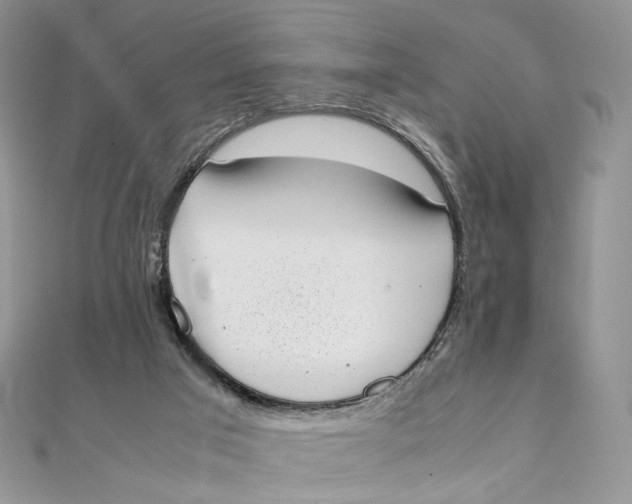 X0000111450017200908031423