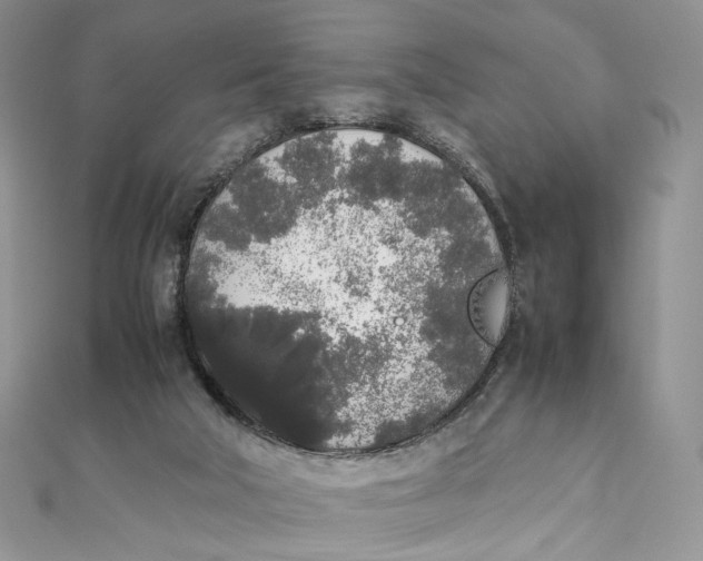 X0000111450018200908031423