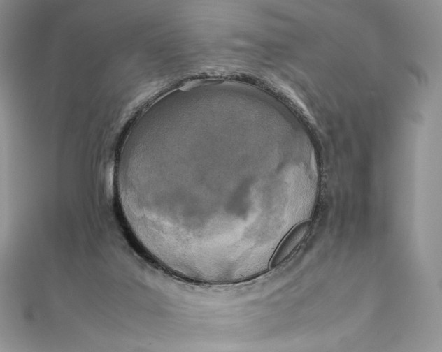 X0000111450019200908031423