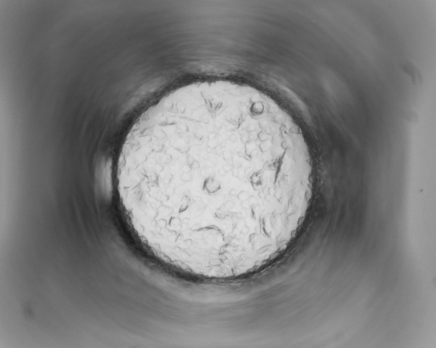 X0000111450020200908031423