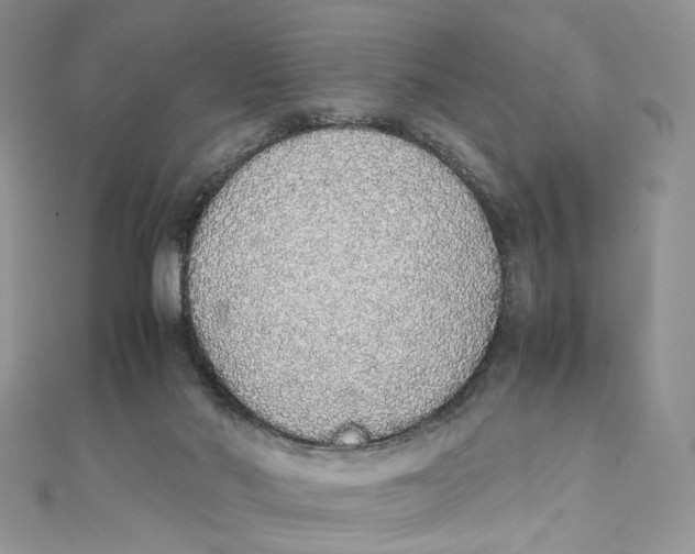 X0000111450022200908031423