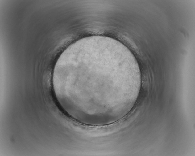 X0000111450023200908031423