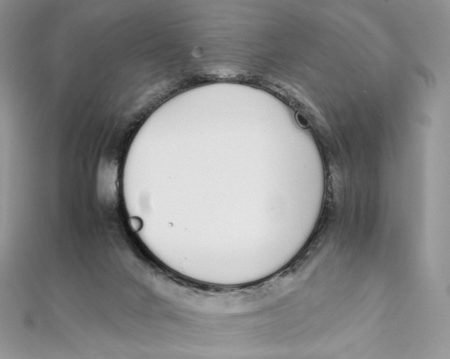 X0000111450024200908031423