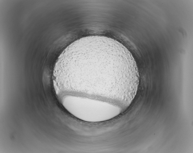 X0000111450026200908031423