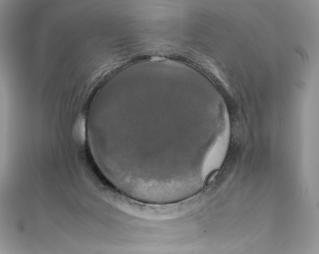 X0000111450027200908031423