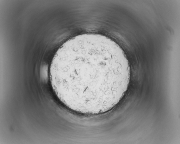 X0000111450028200908031423