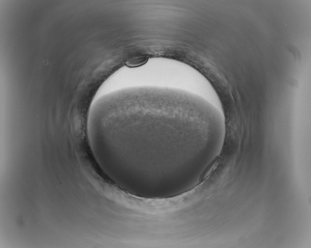 X0000111450031200908031423
