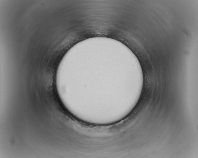 X0000111450032200908031423