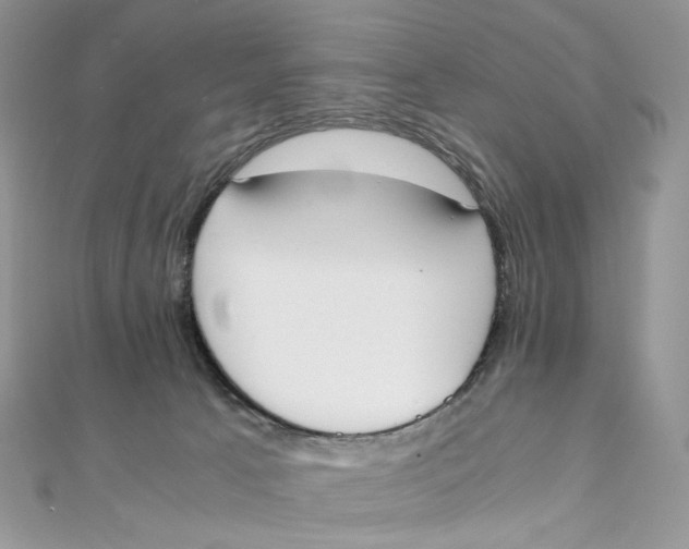 X0000111450033200908031423