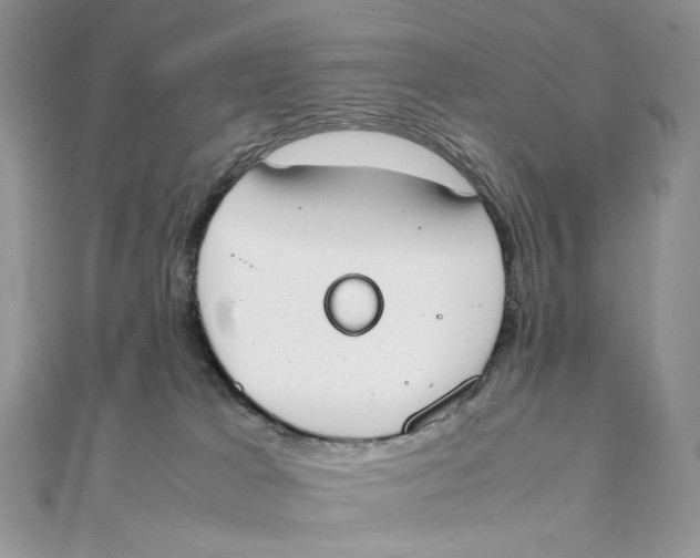 X0000111450037200908031423