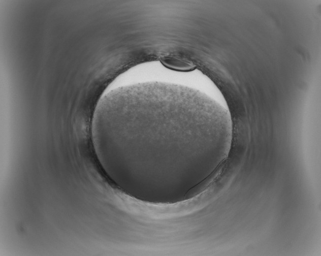 X0000111450039200908031423