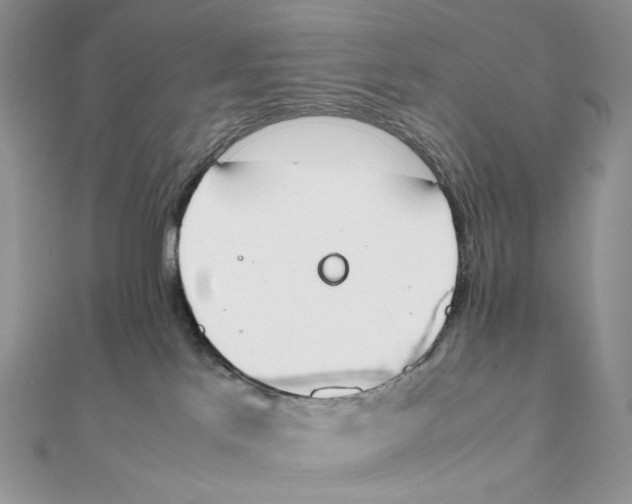 X0000111450041200908031423
